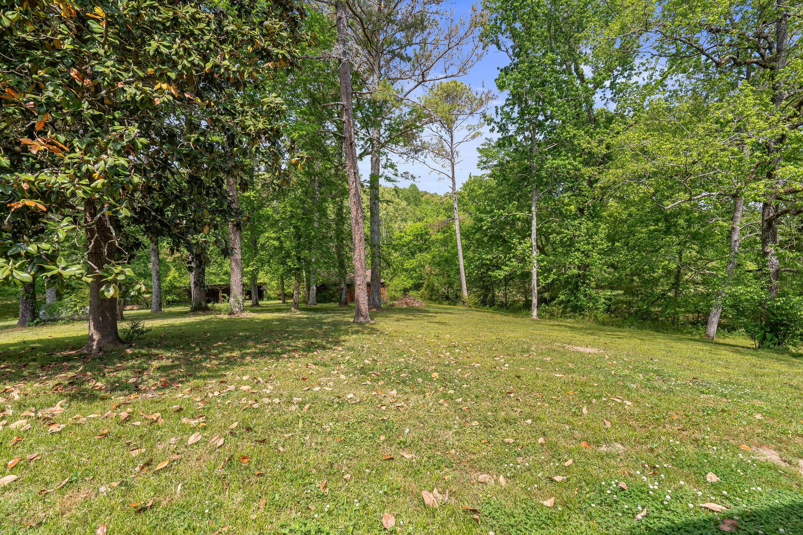 3322 Post Oak Road Ringgold, GA 30736 - Photo 49 of 61 3322PostOakRd-50