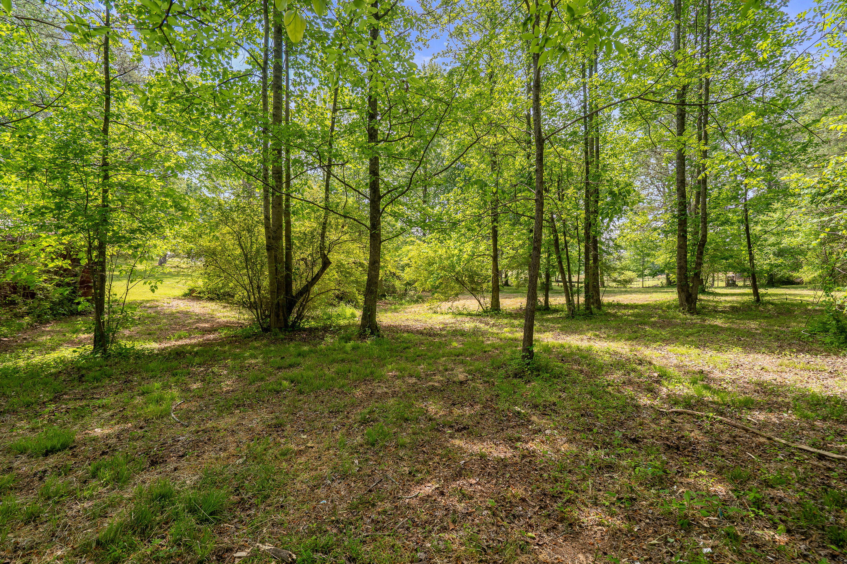 3322 Post Oak Road Ringgold, GA 30736 - Photo 54 of 61 3322PostOakRd-55