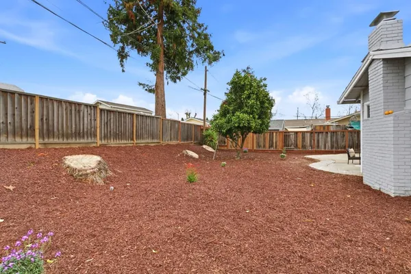 a view of backyard with tree