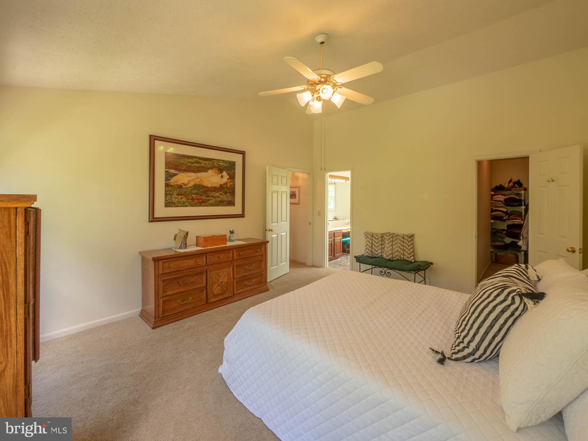101 Harford Road Stevensville, MD 21666 - Photo 26 of 47 Gallery Image 26