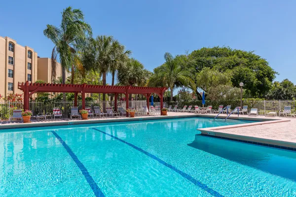 a view of a swimming pool with a lawn chairs under palm trees