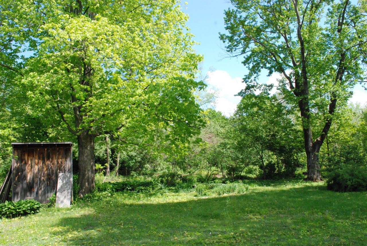 1103 Ashley Falls Road Sheffield, MA 01222 - Photo 21 of 32 1103 BACKYARD
