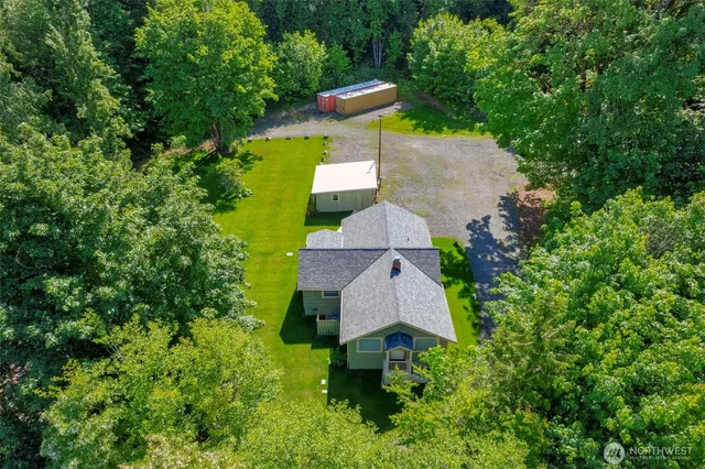 a view of a yard with plants and trees