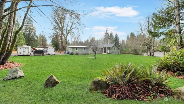 a view of a yard with plants and large trees