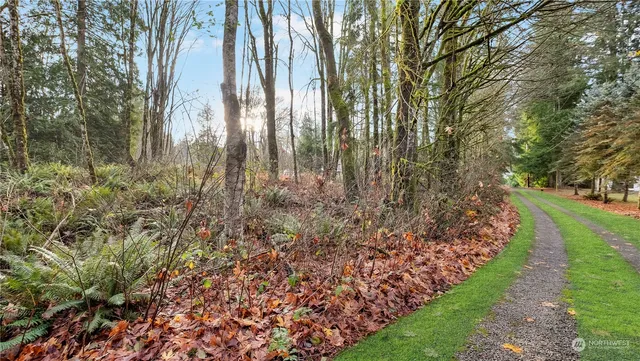 a view of a city with lush green forest