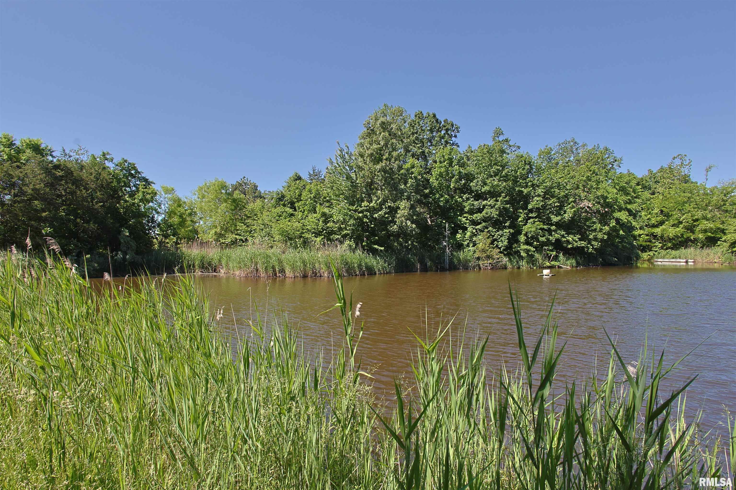 1921 Grange Hall Road Marion, IL 62959 - Photo 18 of 20