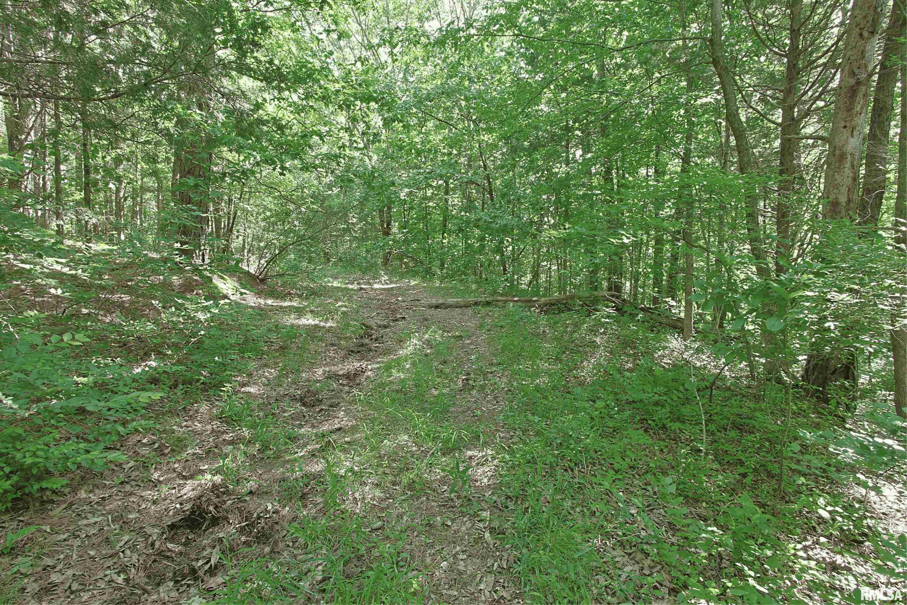 1921 Grange Hall Road Marion, IL 62959 - Photo 20 of 20