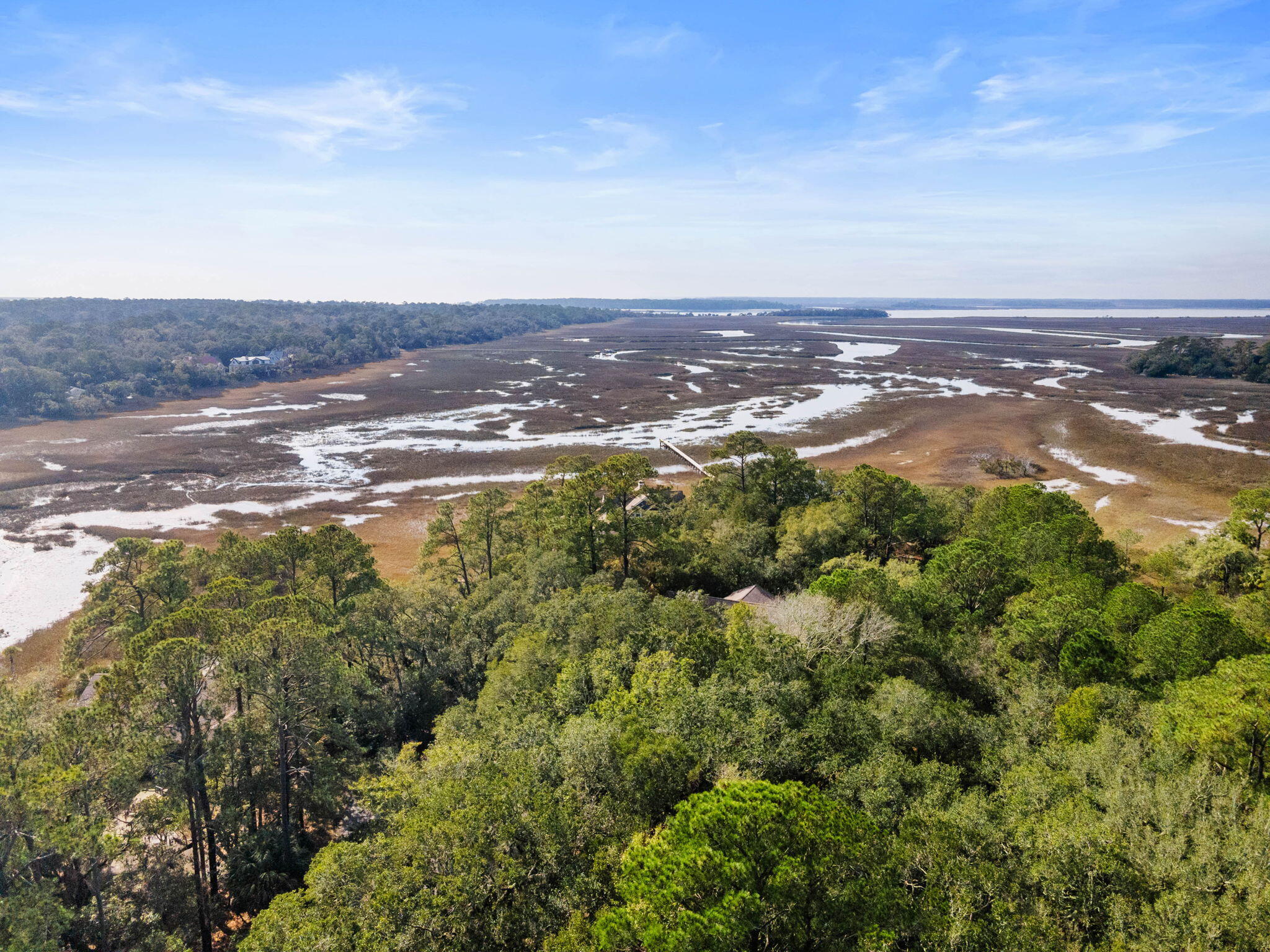 2532 Clear Marsh Road Seabrook Island, SC 29455 - Photo 13 of 44 13-web-or-mls-DJI_0012