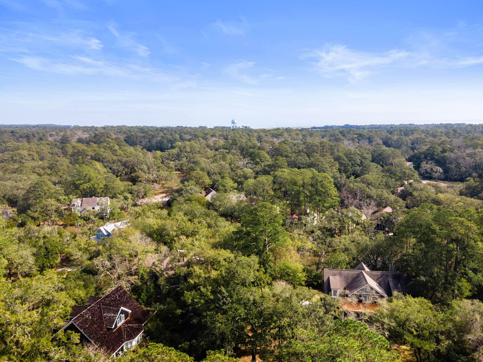 2532 Clear Marsh Road Seabrook Island, SC 29455 - Photo 14 of 44 14-web-or-mls-DJI_0013