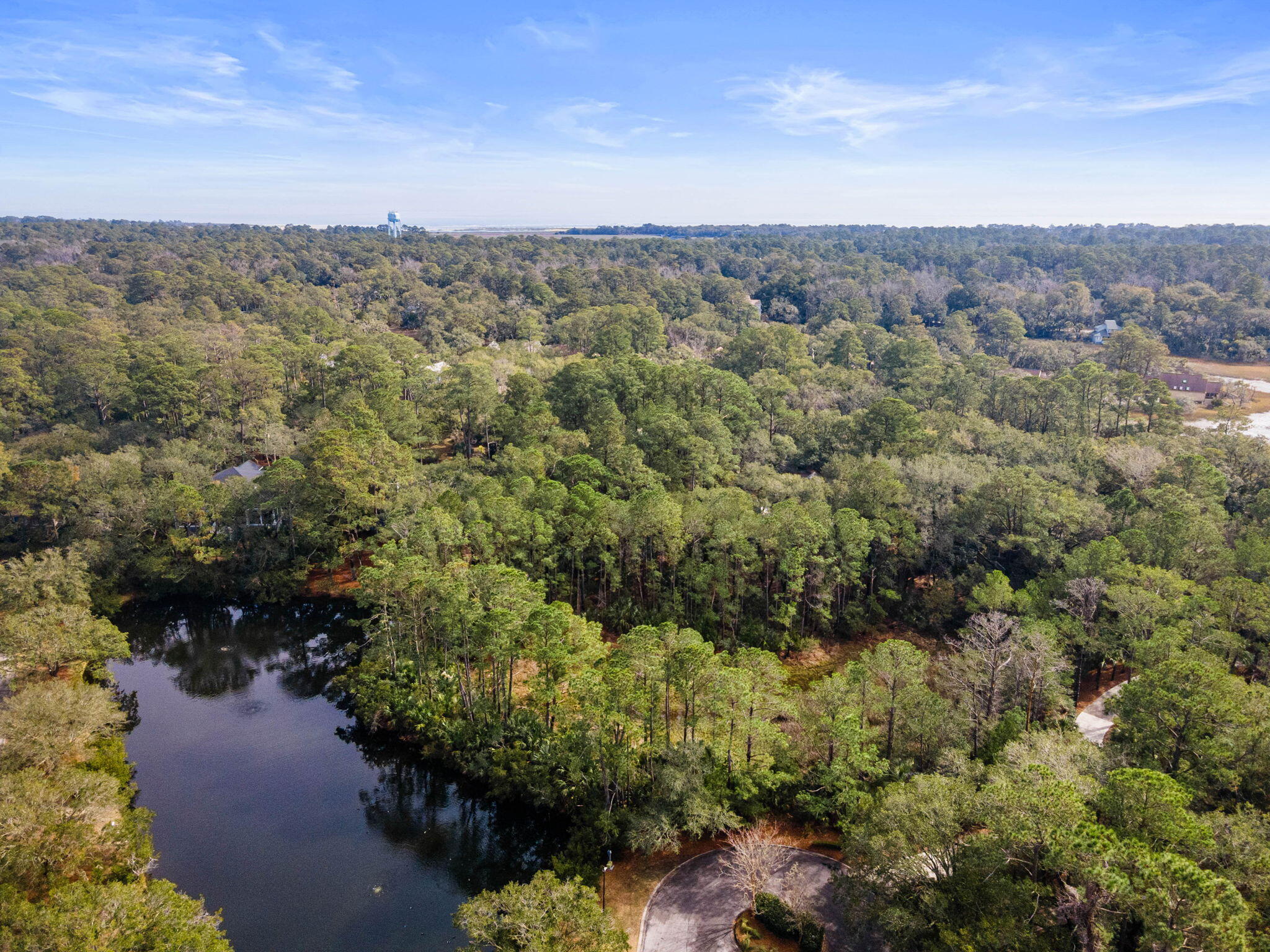 2532 Clear Marsh Road Seabrook Island, SC 29455 - Photo 18 of 44 18-web-or-mls-DJI_0019