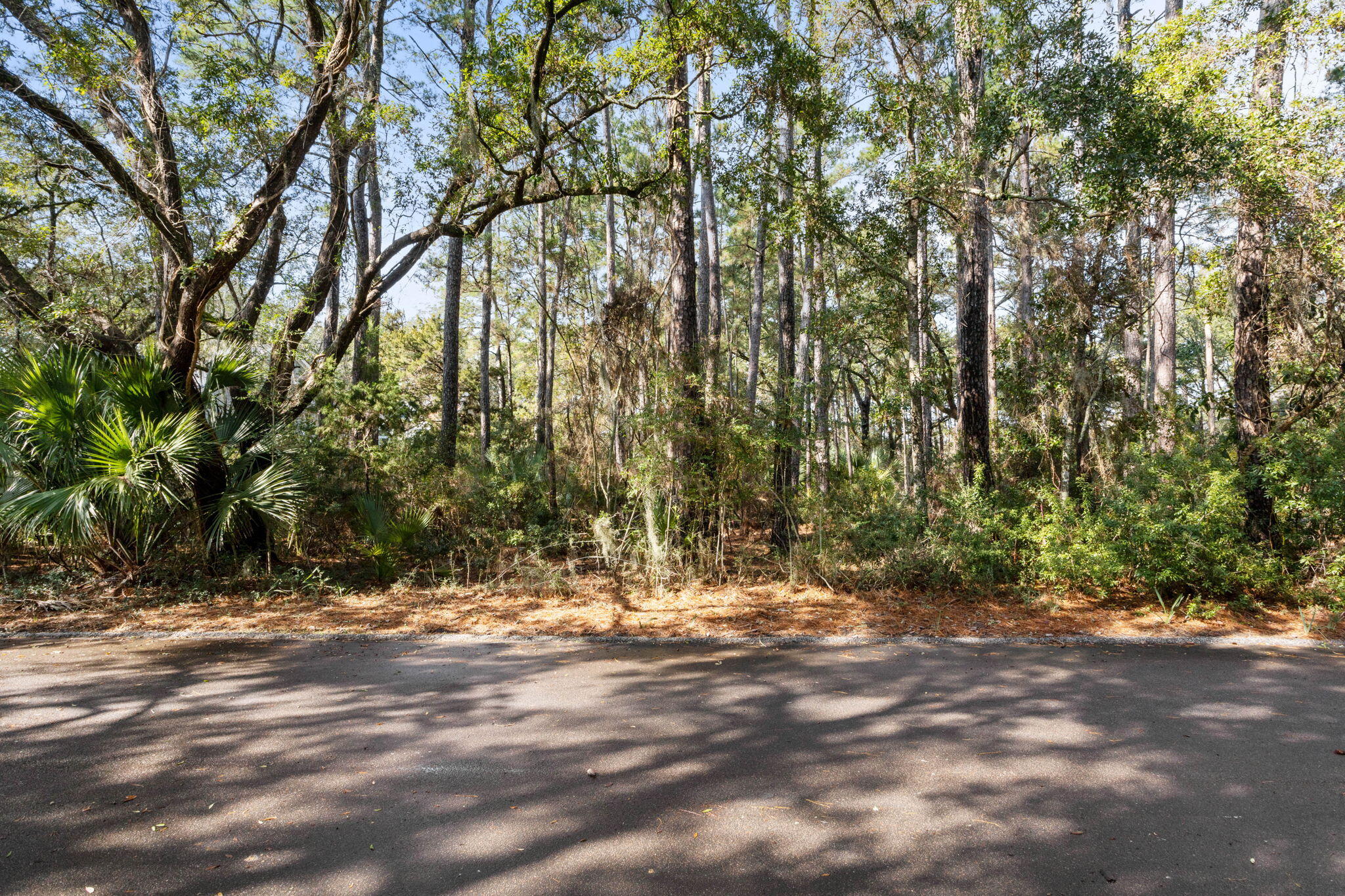 2532 Clear Marsh Road Seabrook Island, SC 29455 - Photo 25 of 44 25-web-or-mls-IMG_0240
