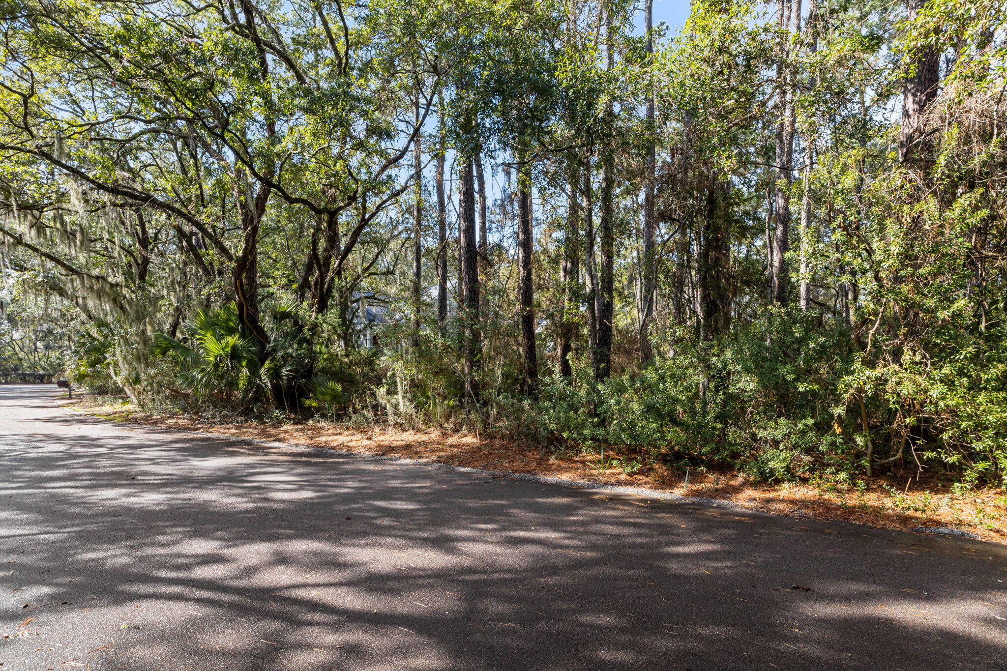 2532 Clear Marsh Road Seabrook Island, SC 29455 - Photo 26 of 44 26-web-or-mls-IMG_0241