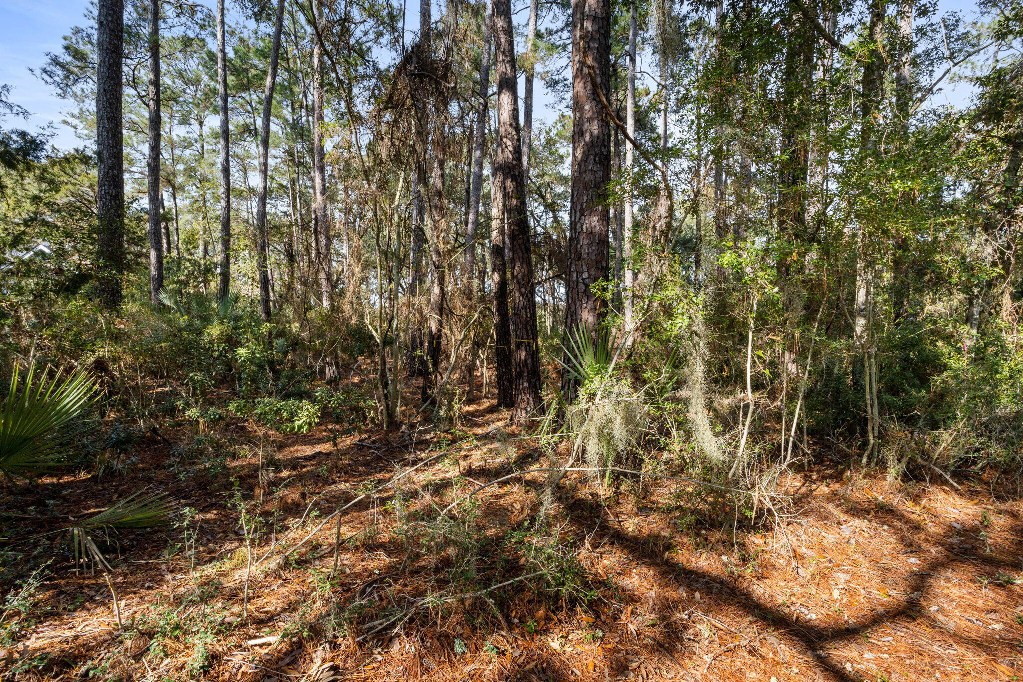 2532 Clear Marsh Road Seabrook Island, SC 29455 - Photo 27 of 44 27-web-or-mls-IMG_0242