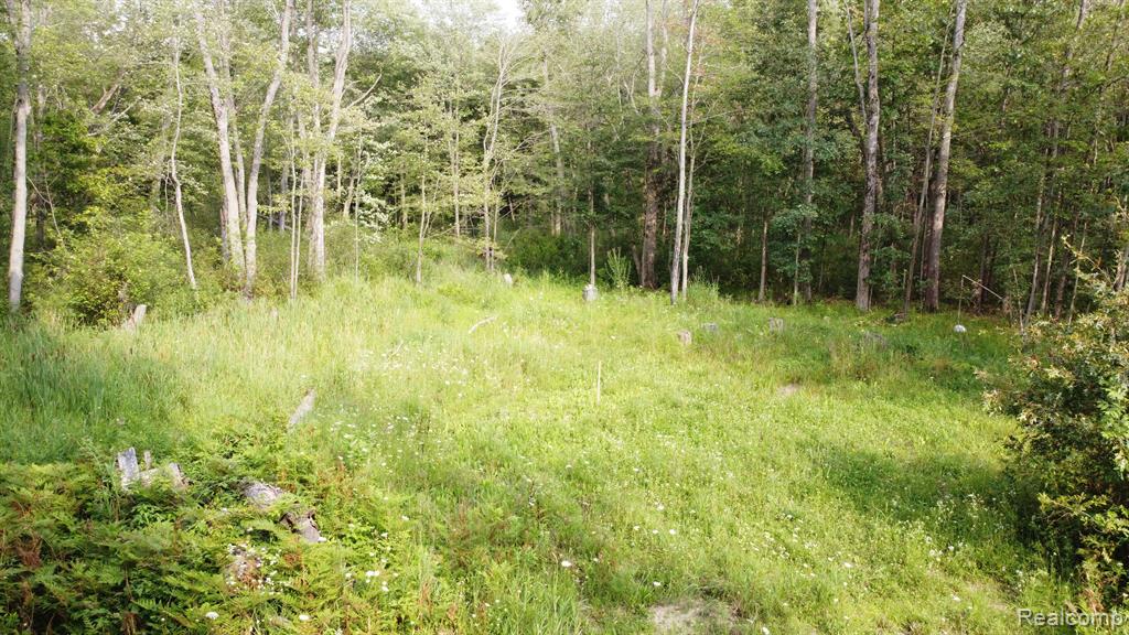 4311 Pinckney Road Howell, MI 48843 - Photo 11 of 14