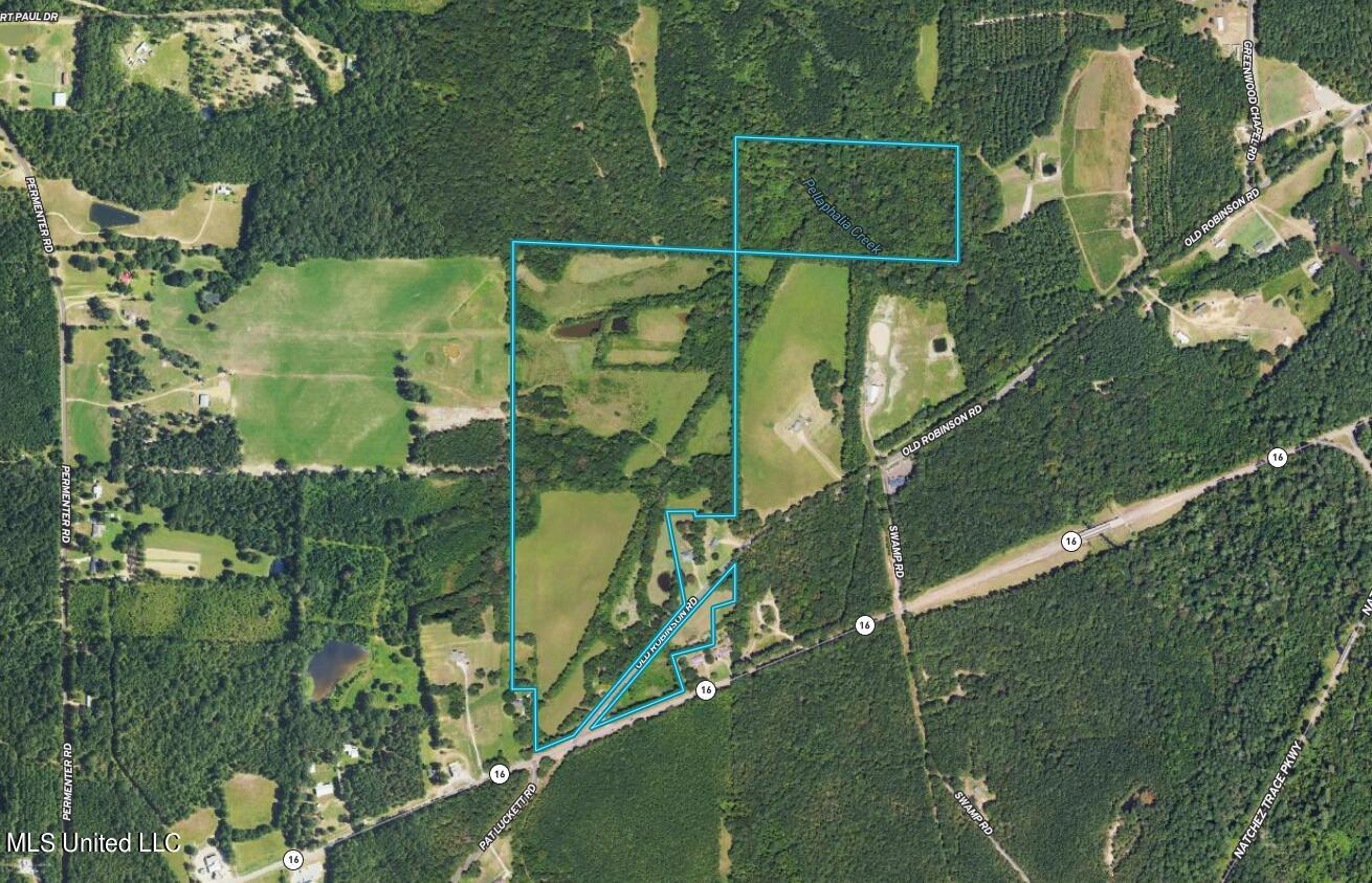 83 Old Robinson Road Carthage, MS 39051 - Photo 2 of 5 Aerial Map