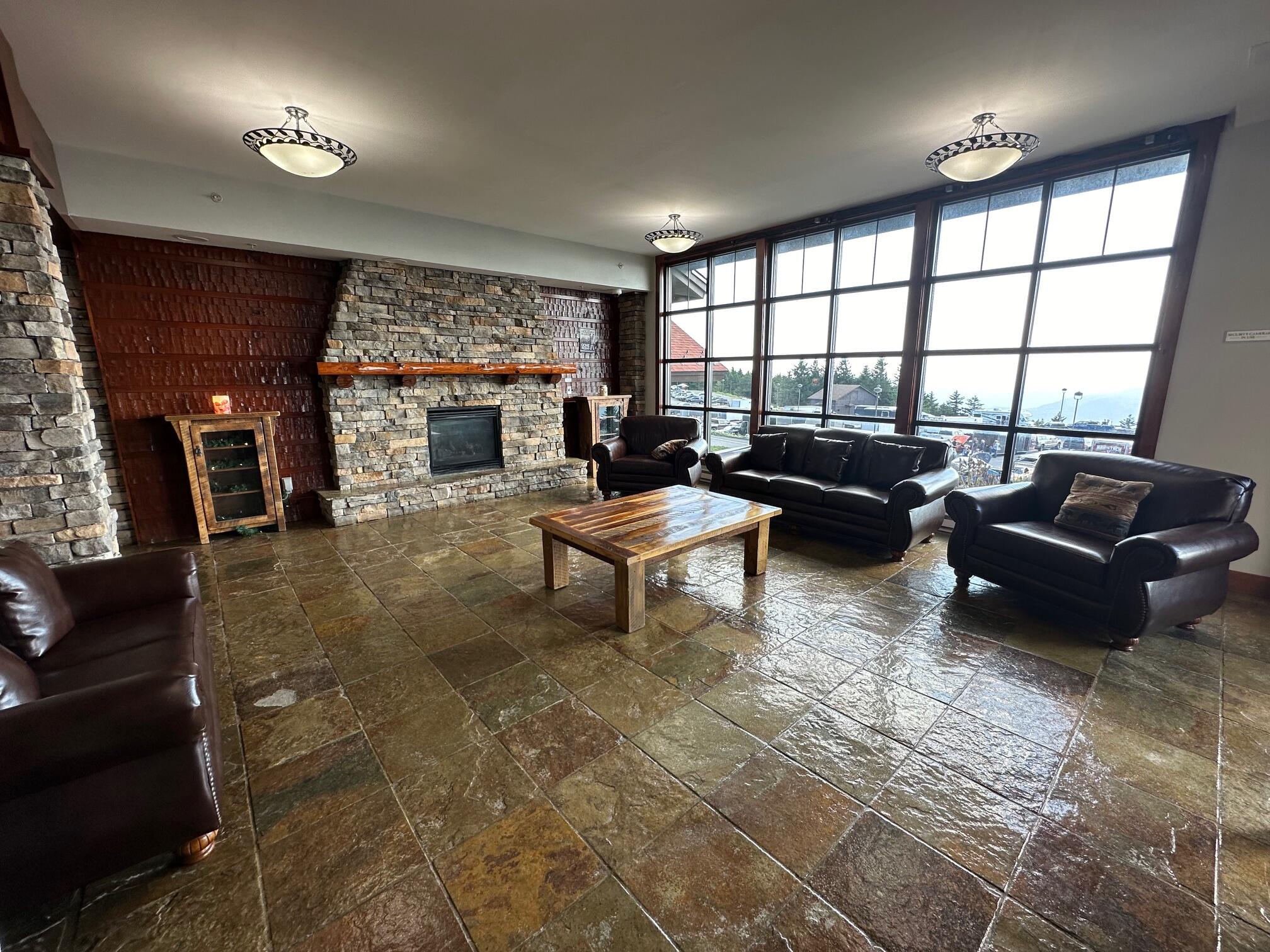 446 Rimfire Lodge Snowshoe, WV 26209 - Photo 9 of 34 Gallery Image 9