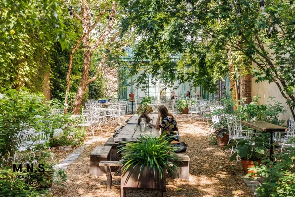 a view of outdoor space yard and trees