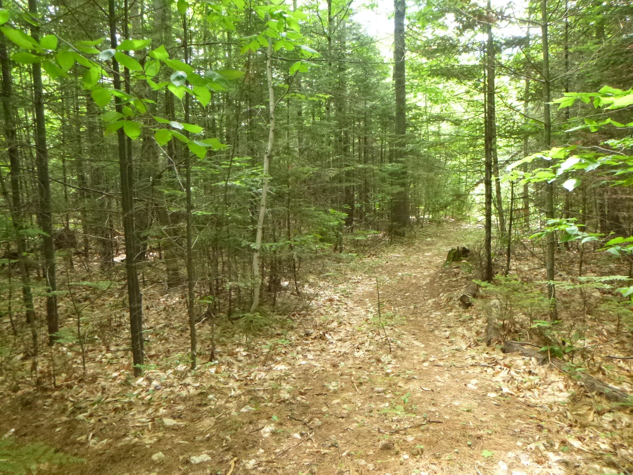 M2-l31-2 Walker Road Madison, ME 04950 - Photo 16 of 17 P1090554