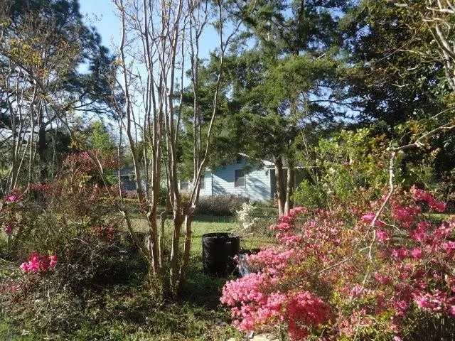 a front view of a house with a yard and potted plants