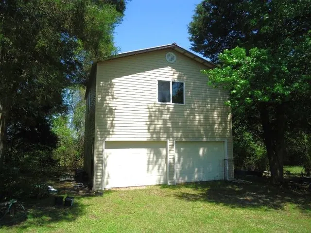 a view of a flower in a garden