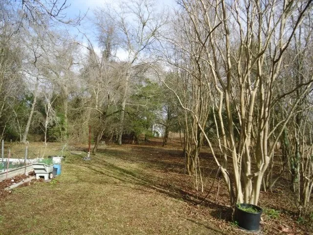 an empty room with windows and wooden floor