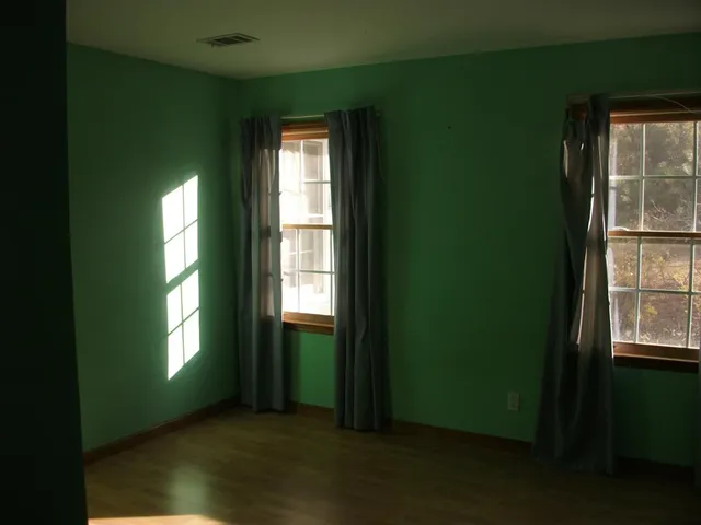 a view of a tree with a yard