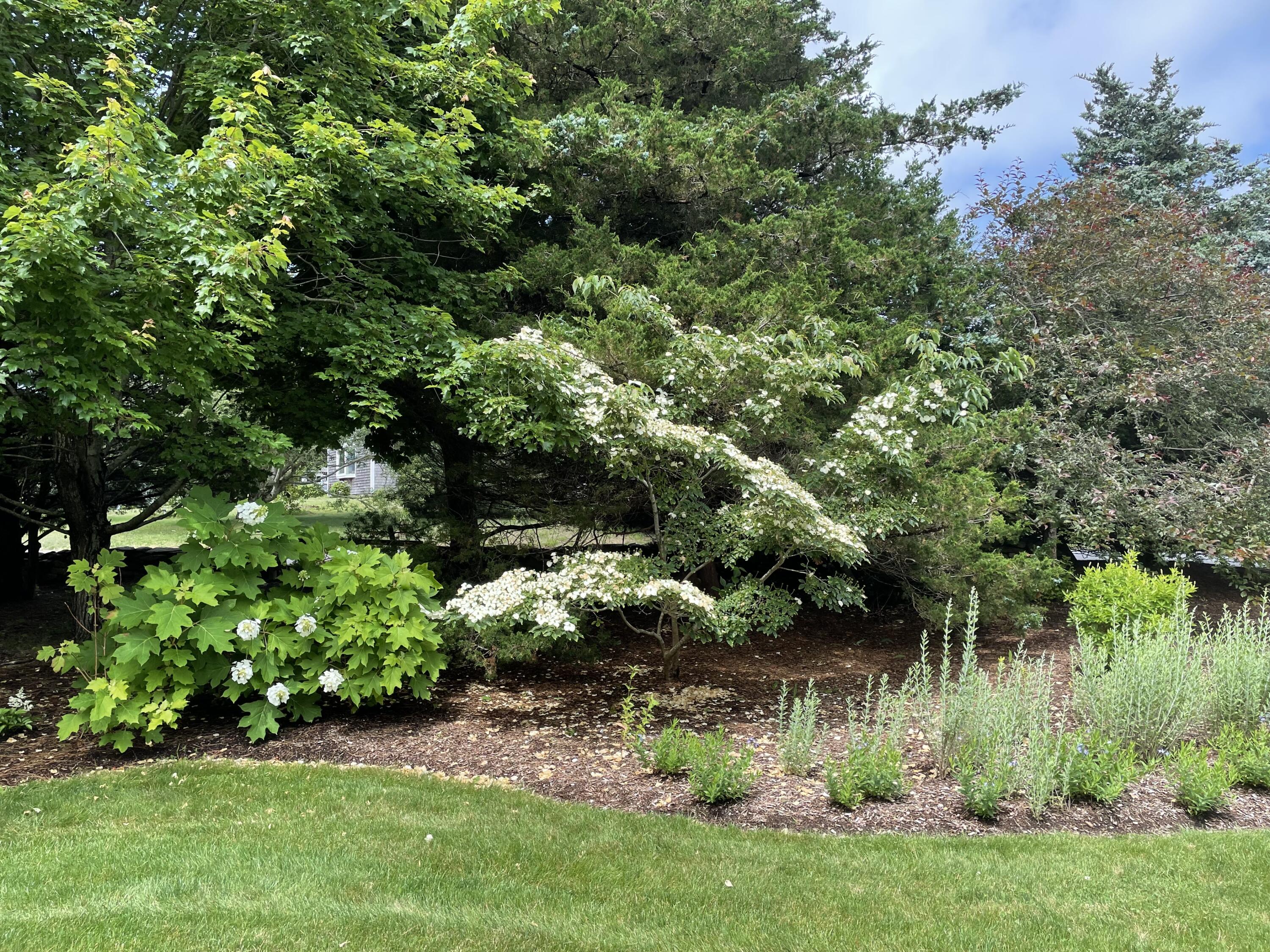 300 Goody Hallet Drive Eastham, MA 02642 - Photo 15 of 20 Private Setting