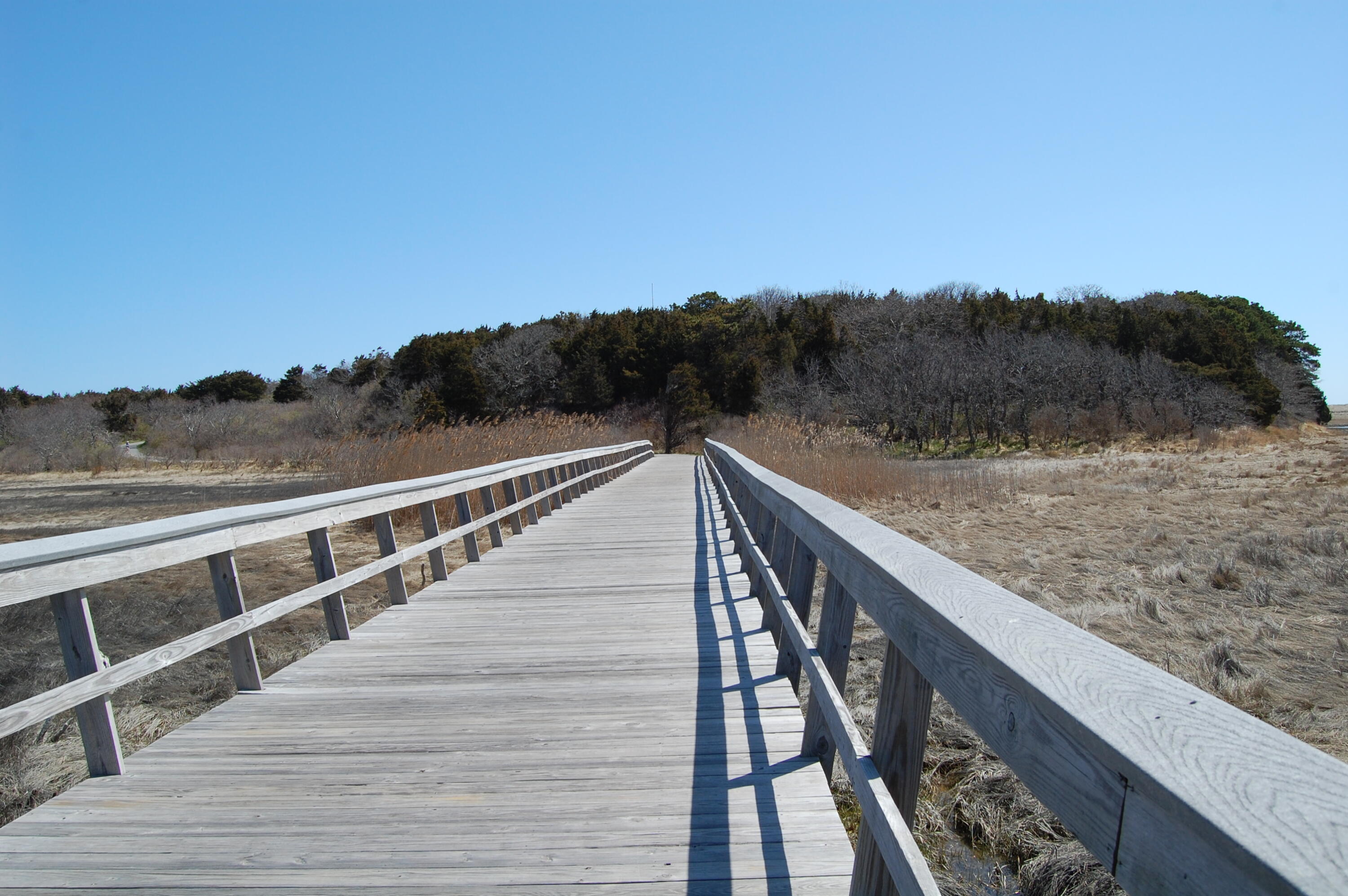 300 Goody Hallet Drive Eastham, MA 02642 - Photo 18 of 20 National Seashore Bike Trail
