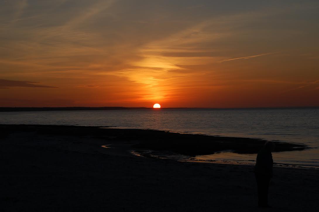 300 Goody Hallet Drive Eastham, MA 02642 - Photo 20 of 20 Boat Meadow Beach