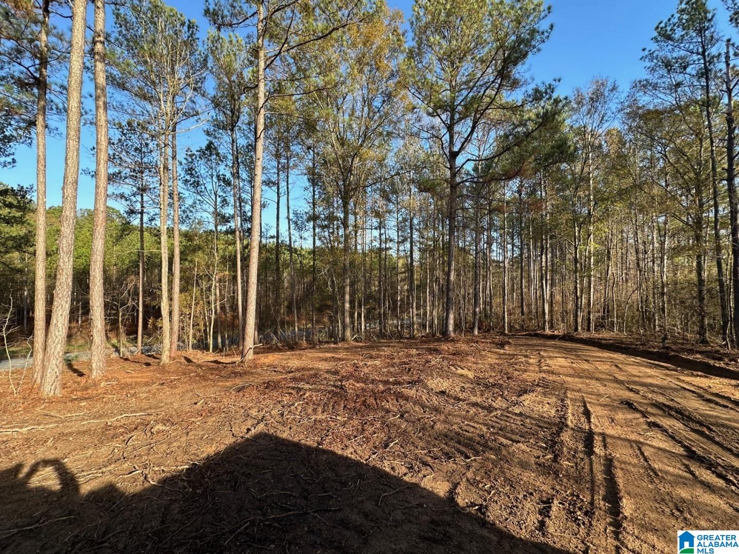 Firehouse Road, Unit 3 36 Goodwater, AL 35072 - Photo 3 of 7