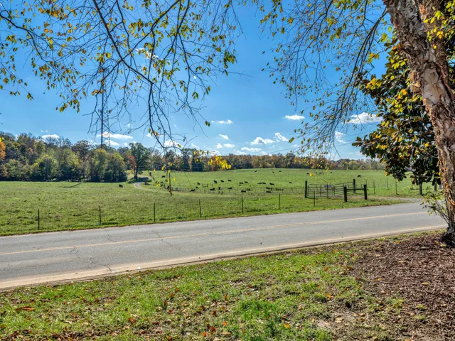 a view of a yard with a house