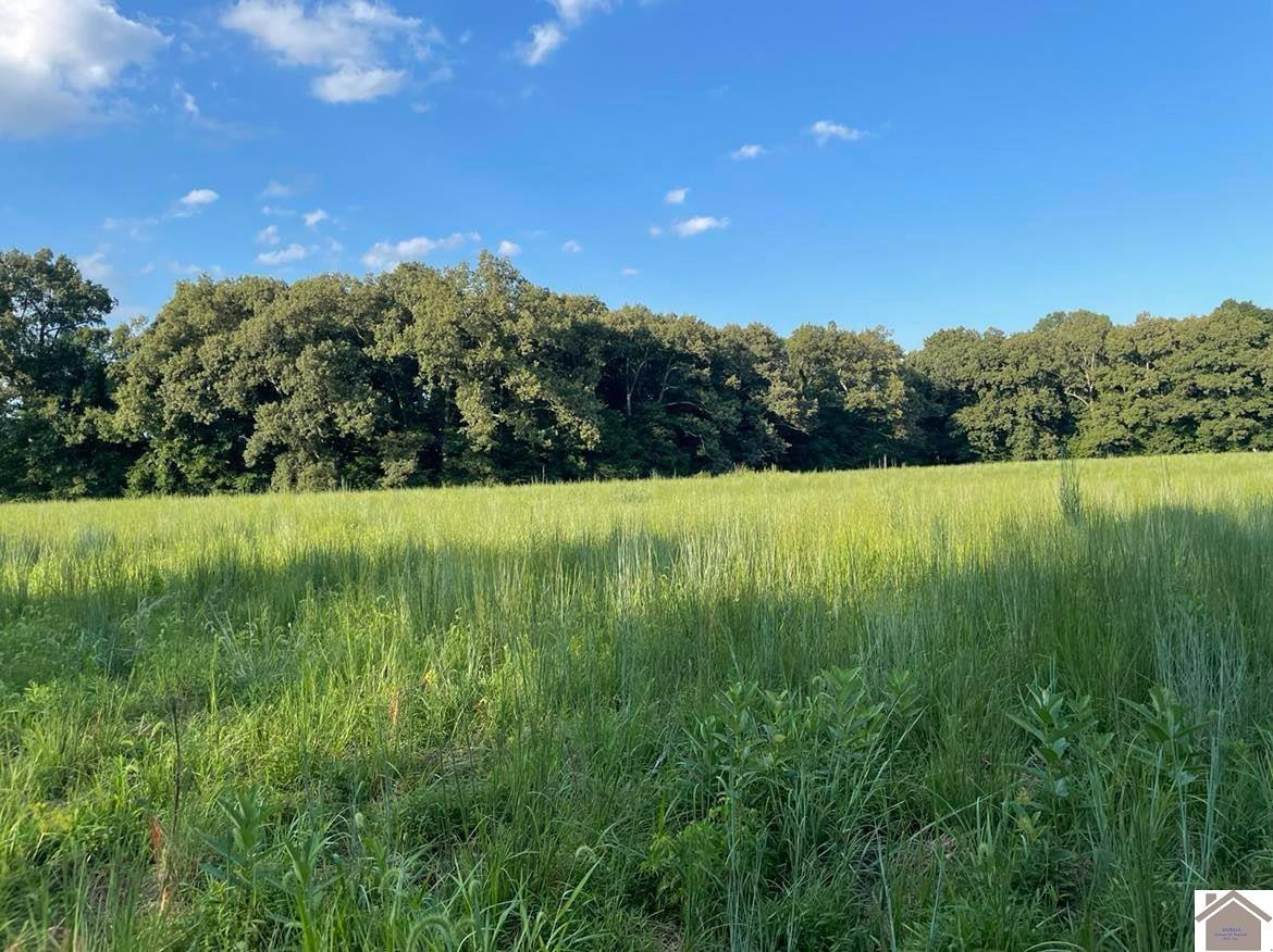 0 Crossland Road Hazel, KY 42049 - Photo 1 of 1 Photo 1