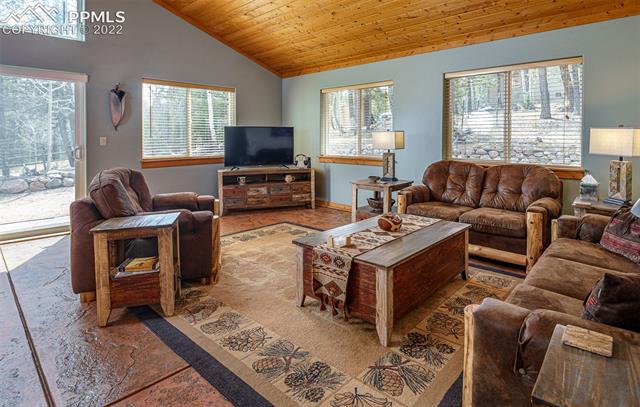 719 Kutsu Ridge Road Florissant, CO 80816 - Photo 2 of 7 Cozy living room with tons of natural light