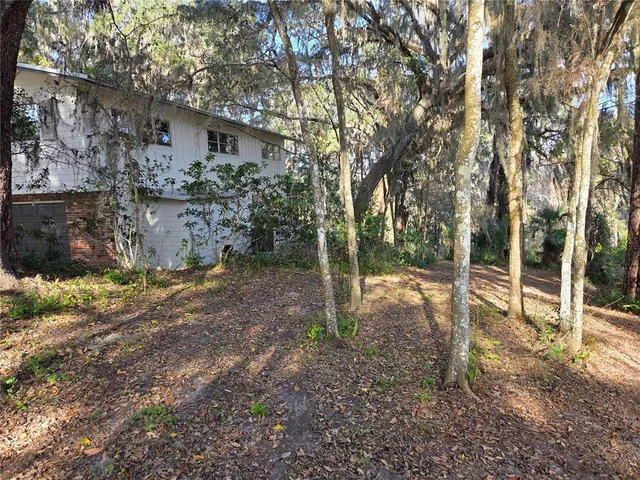 a view of a backyard