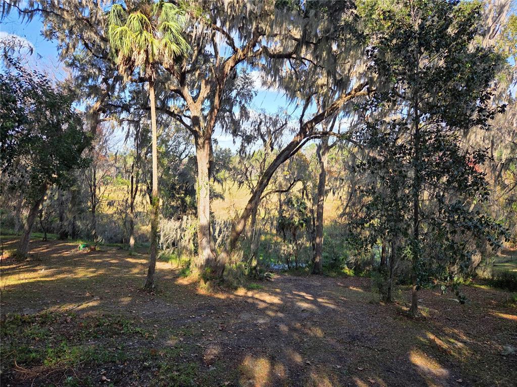 2901 Southwest 4 Court Gainesville, FL 32601 - Photo 8 of 58 a backyard of a house with lots of green space