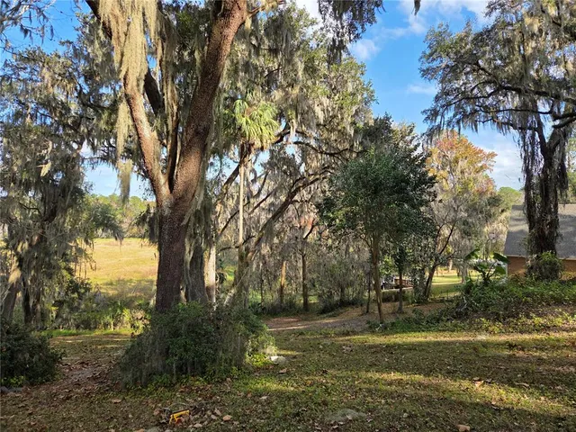 a view of field with trees