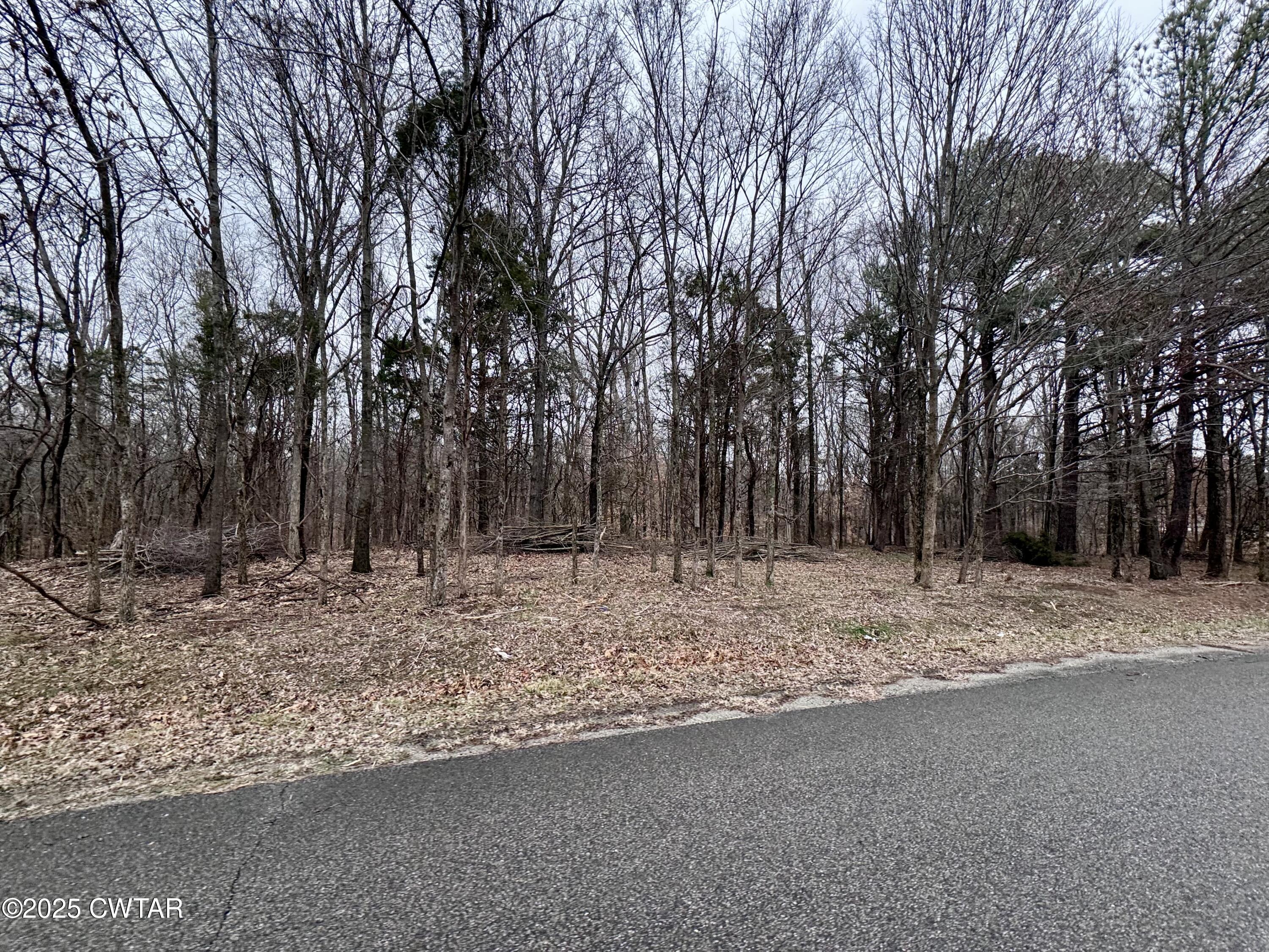 44 Lake Hayes Estates Road Trenton, TN 38382 - Photo 20 of 29 a view of a yard with large trees