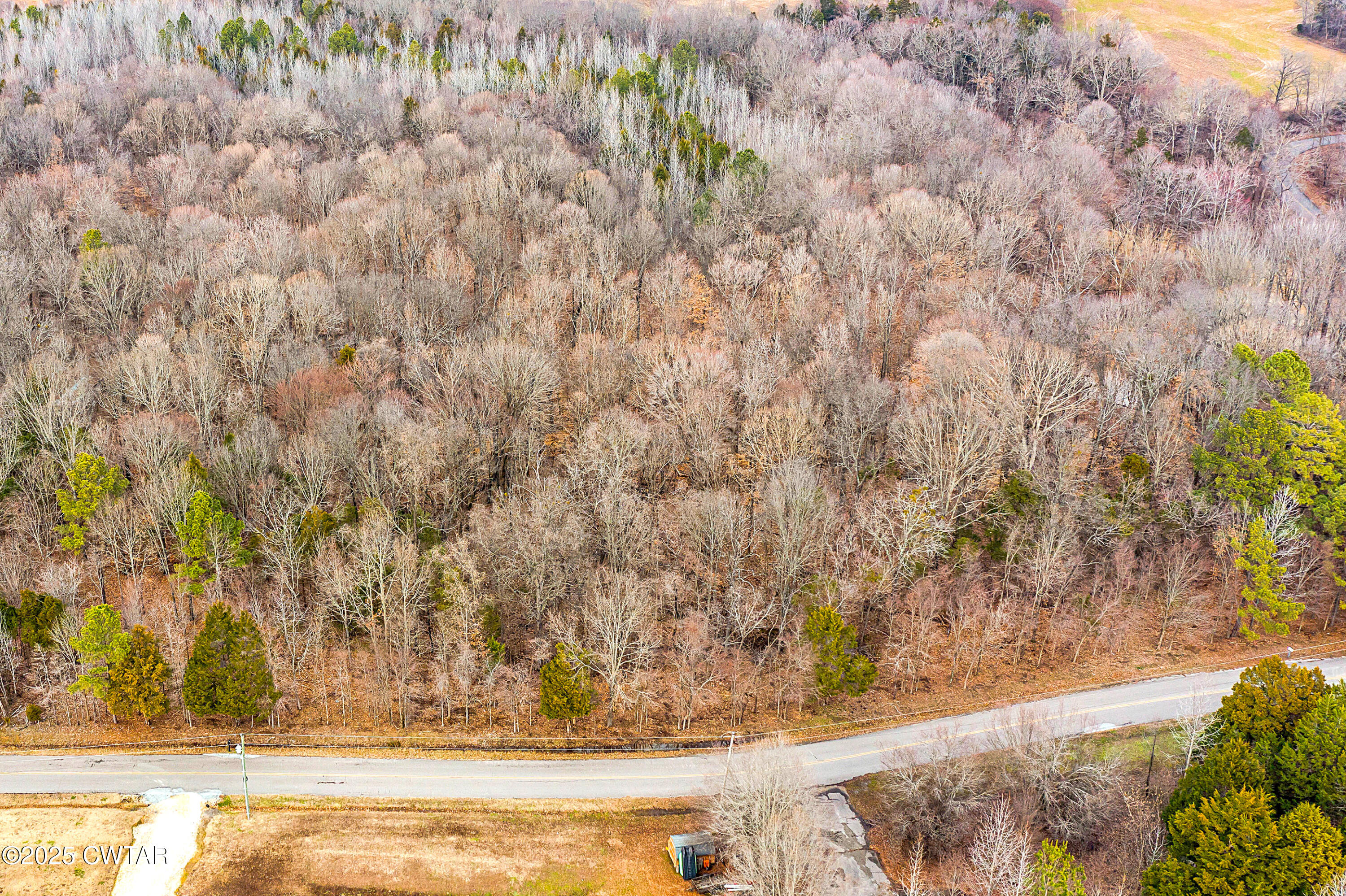 44 Lake Hayes Estates Road Trenton, TN 38382 - Photo 9 of 29 a view of a yard with wooden fence