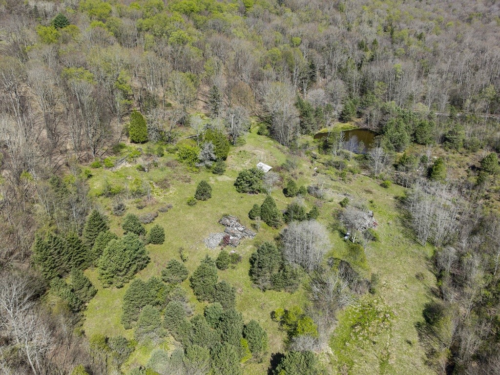 793 West Joseph Road St. Marys, PA 15857 - Photo 9 of 40