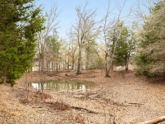 a view of an ocean and beach