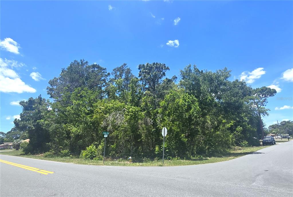 Dunkirk Rd Spring Hill Spring Hill, FL 34608 - Photo 2 of 9