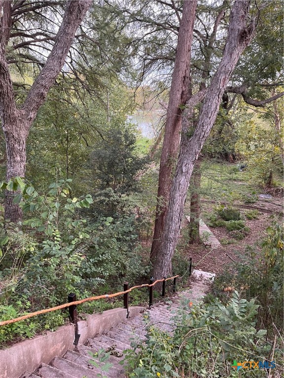 121 Butler Lane Martindale, TX 78655 - Photo 15 of 27 a view of a forest with a tree