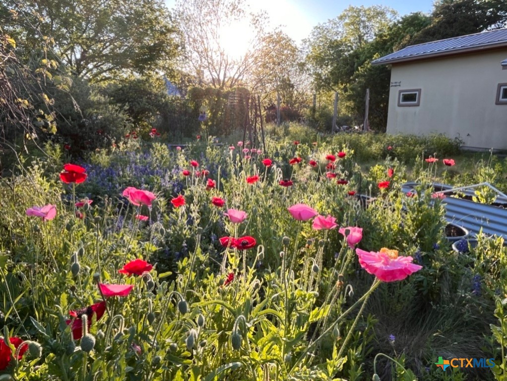 121 Butler Lane Martindale, TX 78655 - Photo 22 of 27