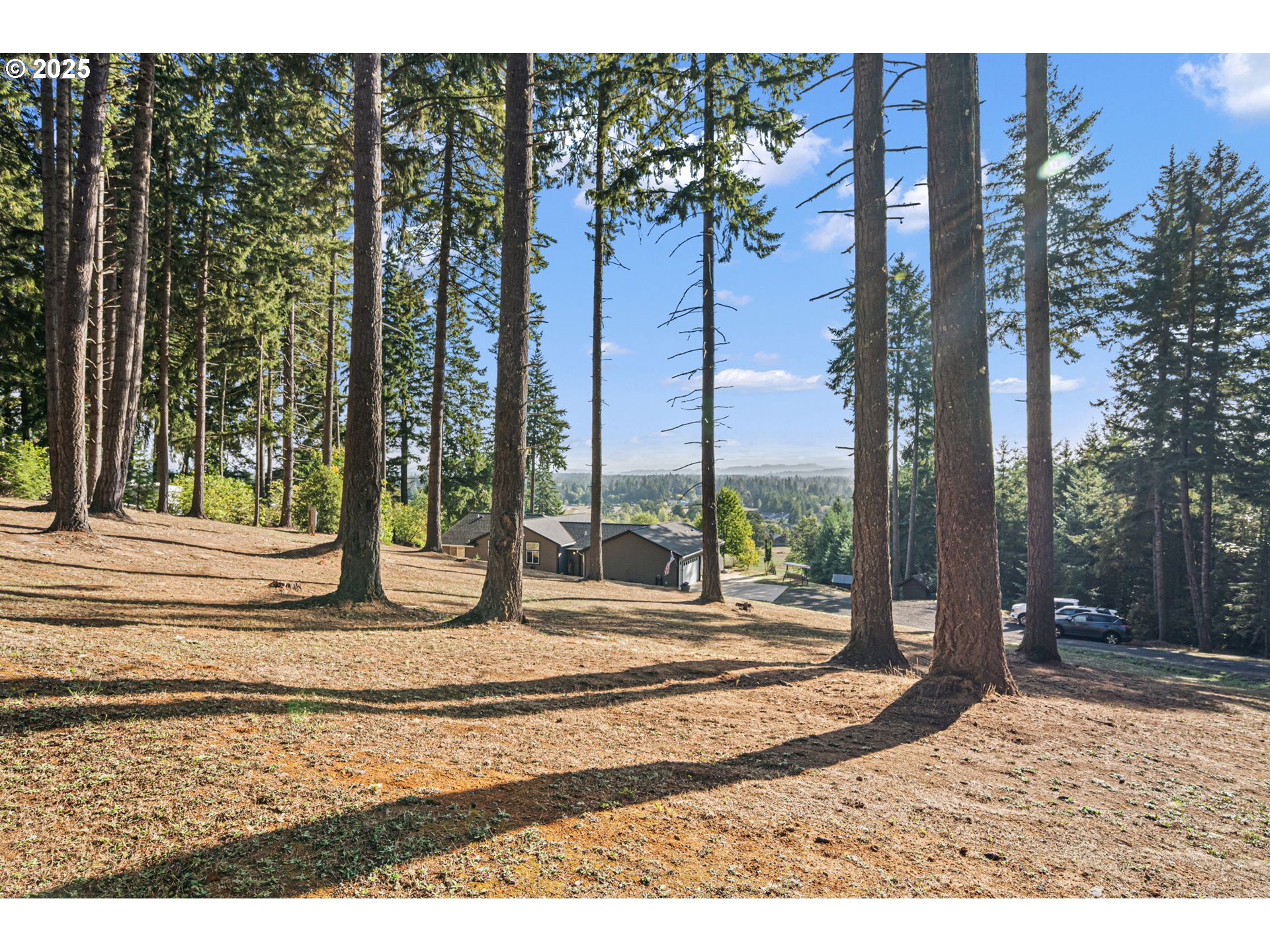 24674 Bolton Hill Road Veneta, OR 97487 - Photo 38 of 48 a view of a entrance gate of the house and trees