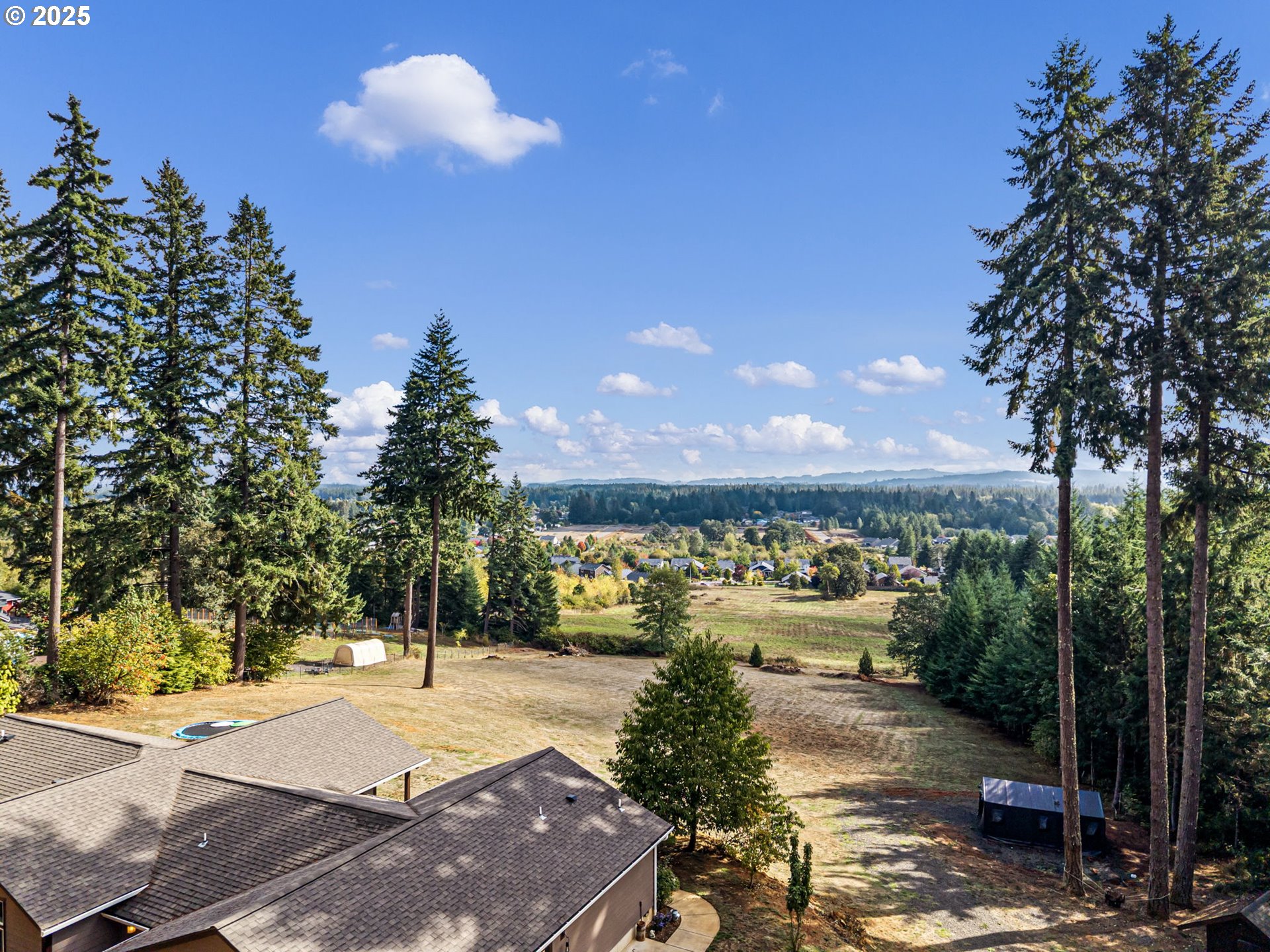 24674 Bolton Hill Road Veneta, OR 97487 - Photo 39 of 48 a view of a yard with plants and trees