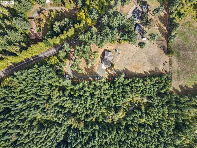 an aerial view of a house with a yard and covered with trees