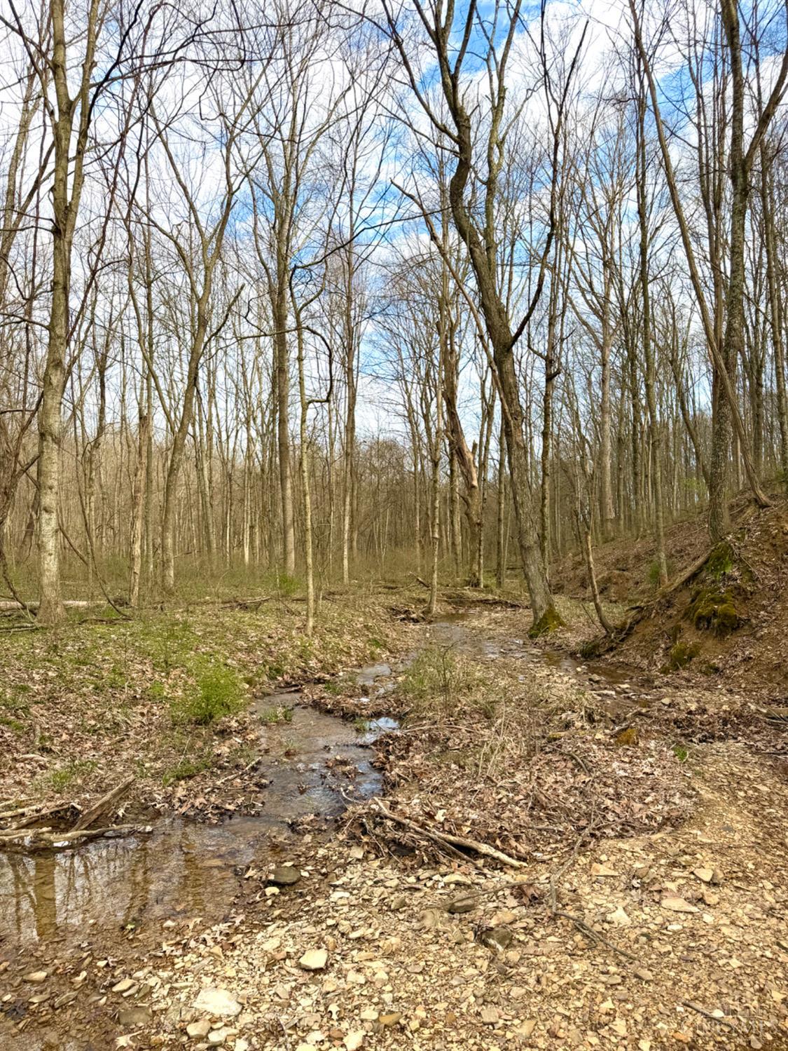 0 Fyffe Hollow Road Chillicothe, OH 45601 - Photo 82 of 96