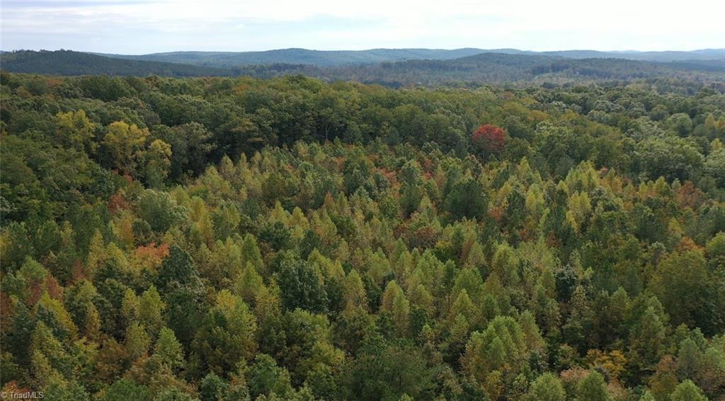 Lot 5 Granite Ridge Road Asheboro, NC 27205 - Photo 4 of 9 Gallery Image 4