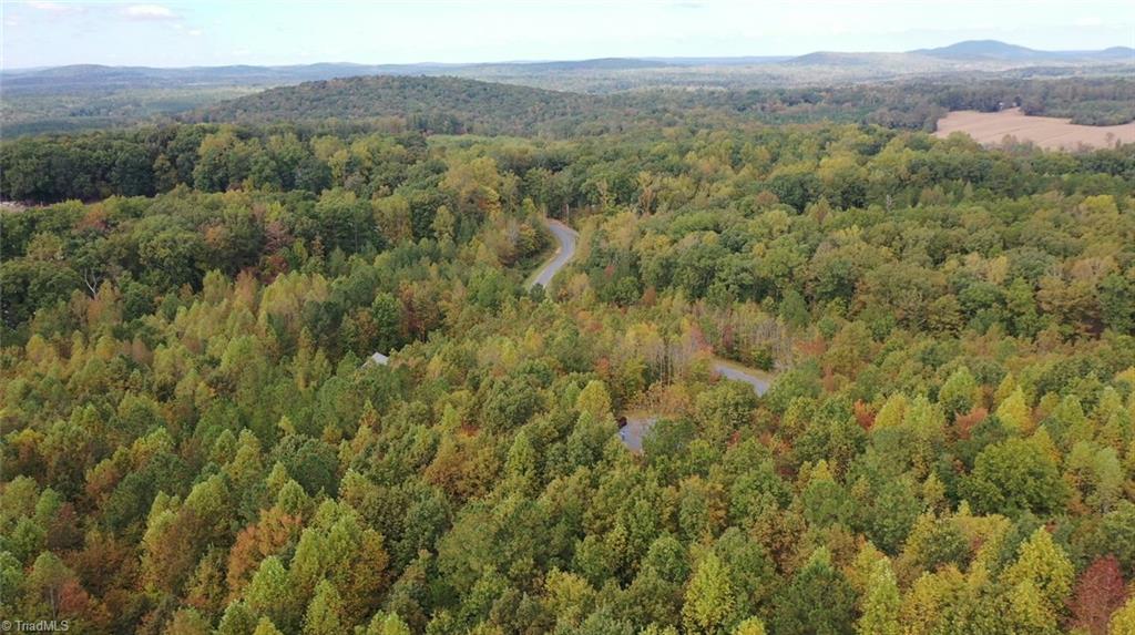 Lot 5 Granite Ridge Road Asheboro, NC 27205 - Photo 6 of 9 Gallery Image 6