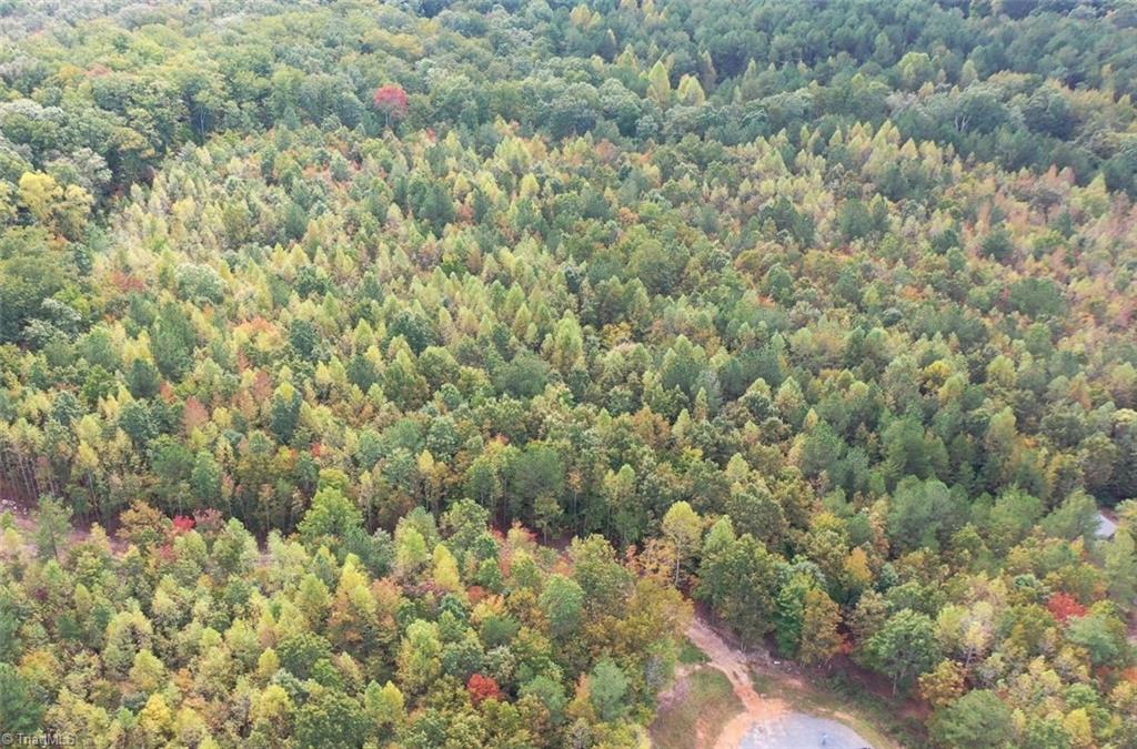 Lot 5 Granite Ridge Road Asheboro, NC 27205 - Photo 9 of 9 Gallery Image 9